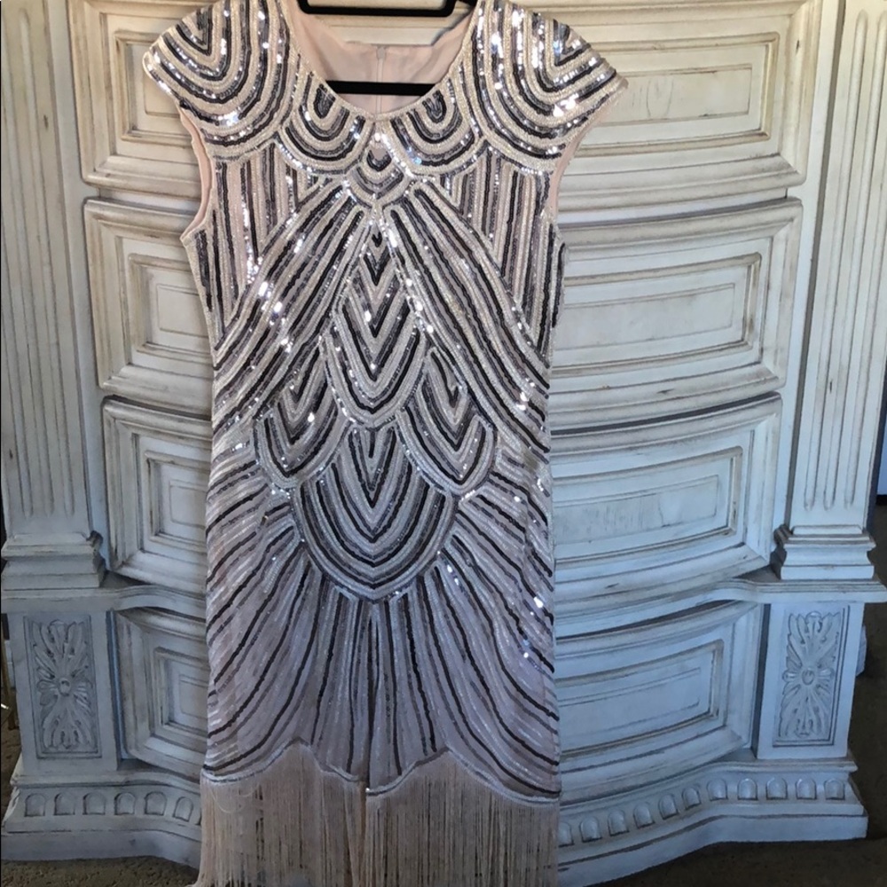 Elegant Sequin Fringe Dress